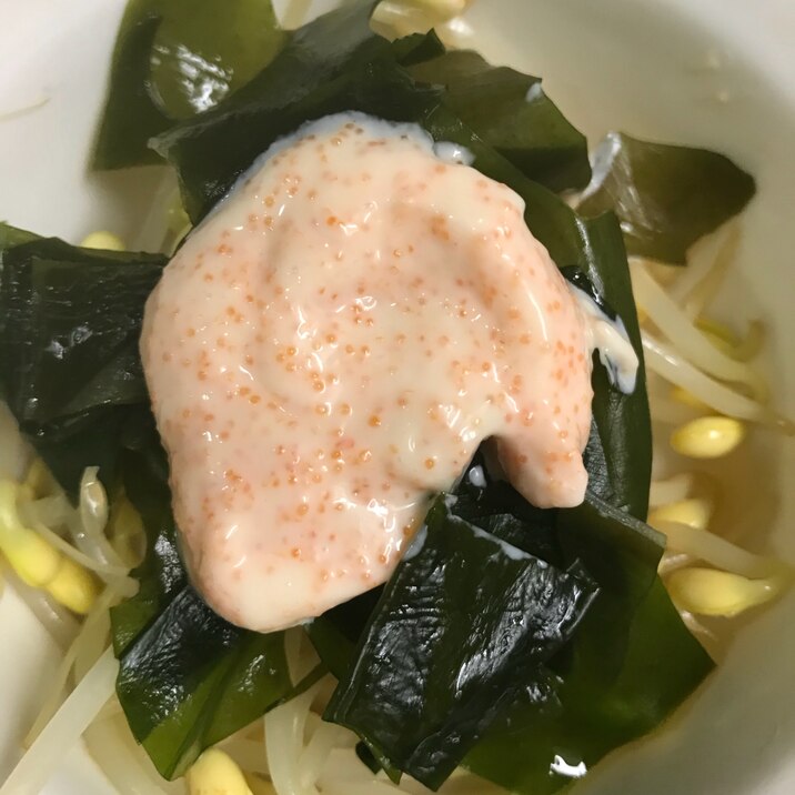 生わかめと豆もやしの明太子サラダ